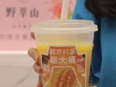 -野萃山·潮汕厚果汁(十亩地店)