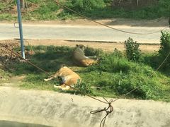 -西安秦岭野生动物园