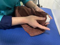 -佳雯宠物医院(金华南路分院)