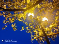 -香港威特瑞茶餐厅(小白楼音乐厅店)