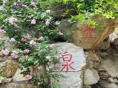 -玲珑塔公园