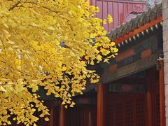 -承恩寺