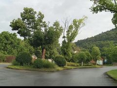 -呼吸森林·生态农庄农家乐私房菜