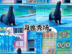 -华夏文旅西安度假区