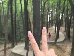 -火炉山森林公园