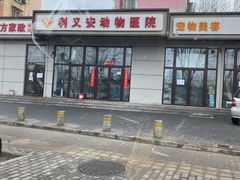 -利又安动物医院··老年病·猫科犬科·中兽医