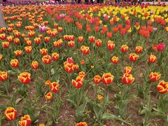 -长春公园(普阳街道)