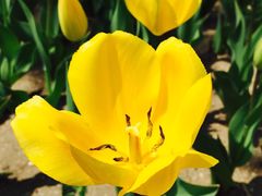 -长春公园(普阳街道)