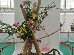 -南京医科大学(江宁校区)