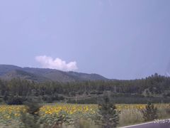 -塞罕坝国家级自然保护区