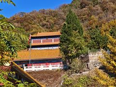 -遵化市禅林寺古银杏风景园