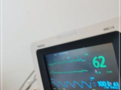 -上海市杨浦区中医医院