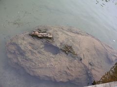 -靖西鹅泉风景区