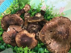 -佳缘野生菌食府