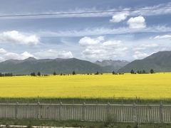 -德禄酸奶(莫家街店)