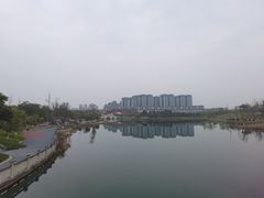 -眉山湿地公园(东坡区)