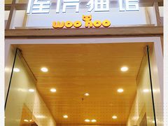 -屋虎猫馆(宝安大仟里店)