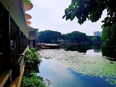 -荔湾湖公园