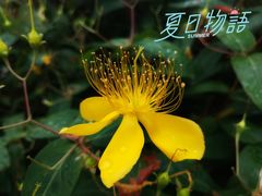 -钱万兴(塔园路店)
