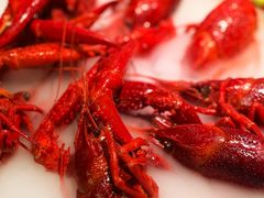 -红盔甲·小龙虾(天钥桥店)