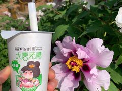 -洛阳市隋唐城遗址植物园
