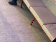 -移动谜城·大笨象密室逃脱(五棵松店)