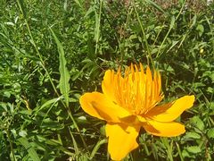 -白草畔自然风景区