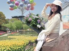 -上海鲜花港