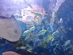 -华夏文旅海洋公园