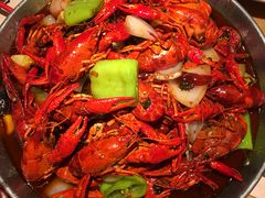 -杨氏青龙虾·羊蝎子(托乐嘉店)