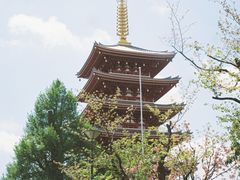 -浅草寺