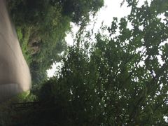 iphone_upload_pic-金牛山大酒店(南北湖风景区店)