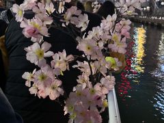 -道顿堀水上观光船(太左衛門橋船着場)