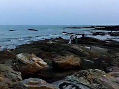 -日照海滨国家森林公园