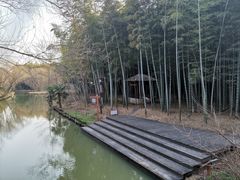 -同里国家湿地公园
