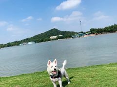 -上海月湖雕塑公园