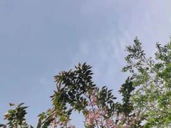 -迪士尼小镇