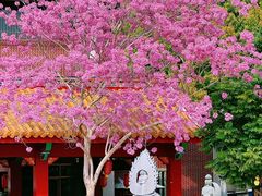 -天竺岩寺