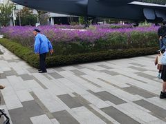 -成飞公园