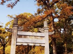 -灵谷景区
