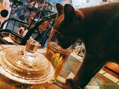 -比格比萨自助(新辰里学清路店)