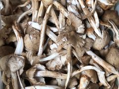 -双喜农庄·菌香园(安居家园店)