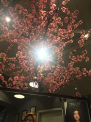 -时尚殿堂明星门店