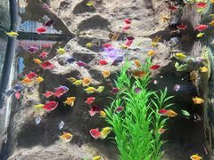 -苏州海洋馆