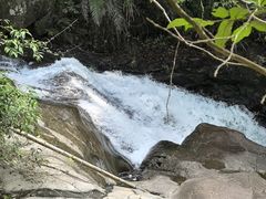 -广州市流溪河国家森林公园