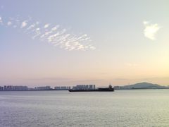-大湾区中央湿地公园-十九涌