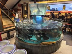 -魏铭鱼头捞饭(晋阳路店)