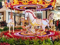 -拉斯维加斯永利酒店