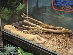 -重庆欢乐海底世界