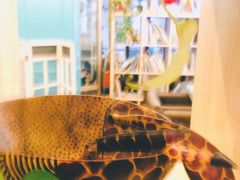 -嘉喜来比萨(罗马花园店)